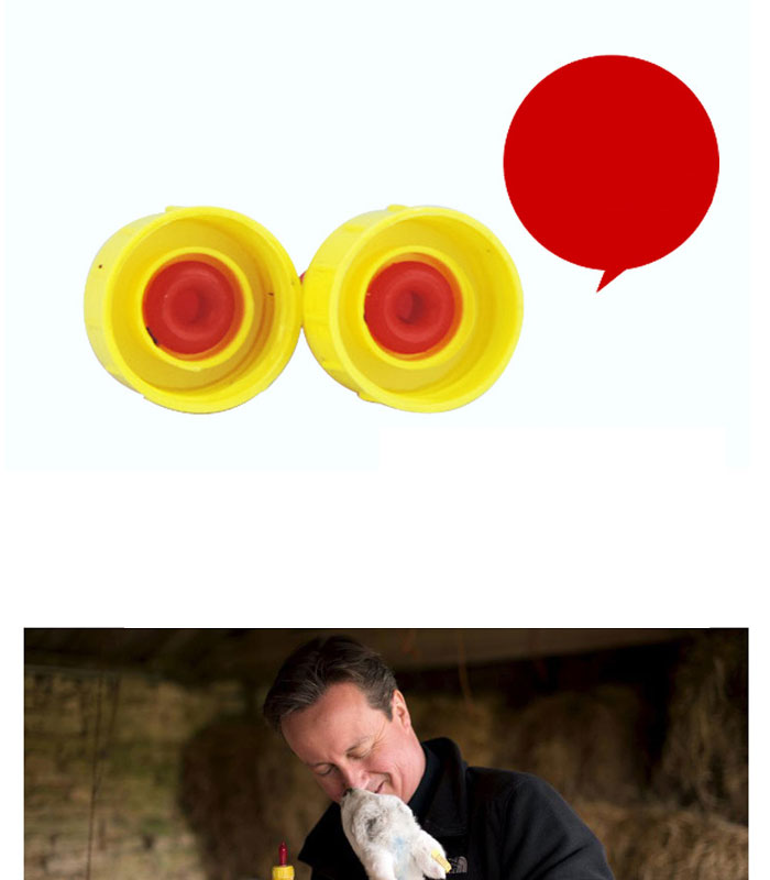 未标题-1_06.jpg