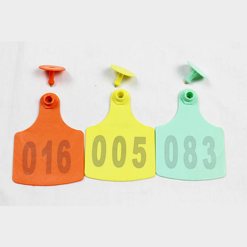 Cow Ear Tag Large