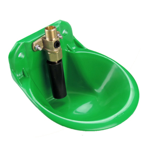 Sheep Drinking Bowl
