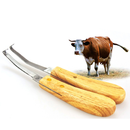 Cattle Hoof Knife